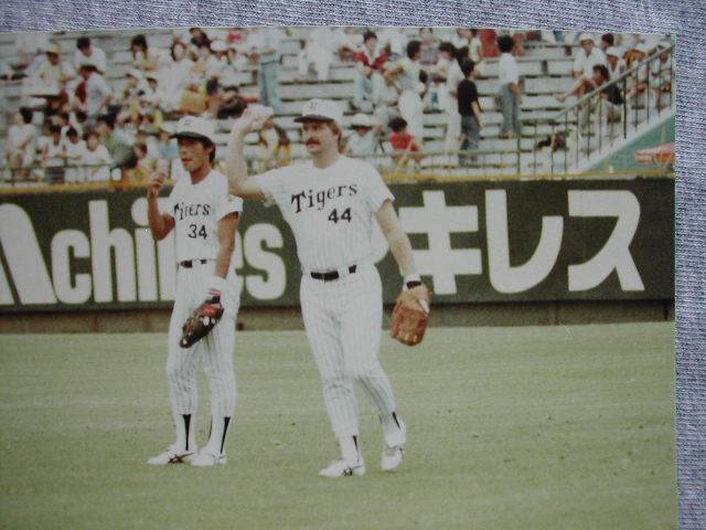 randy-bass-hanshin-tigers