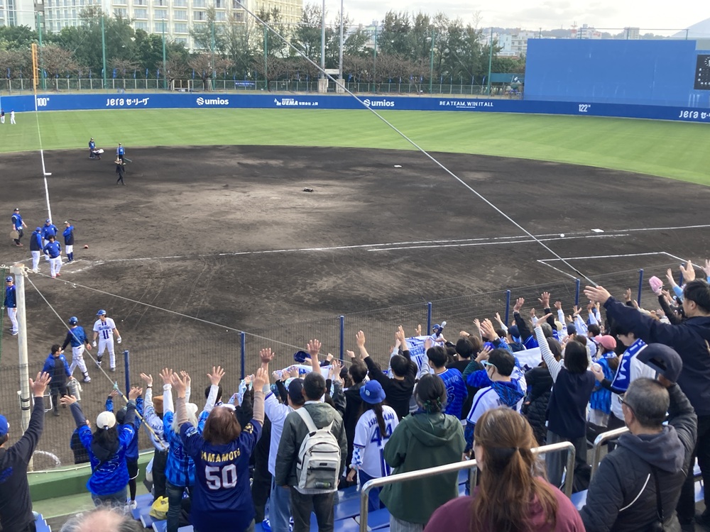 サインボール投げ入れサービス