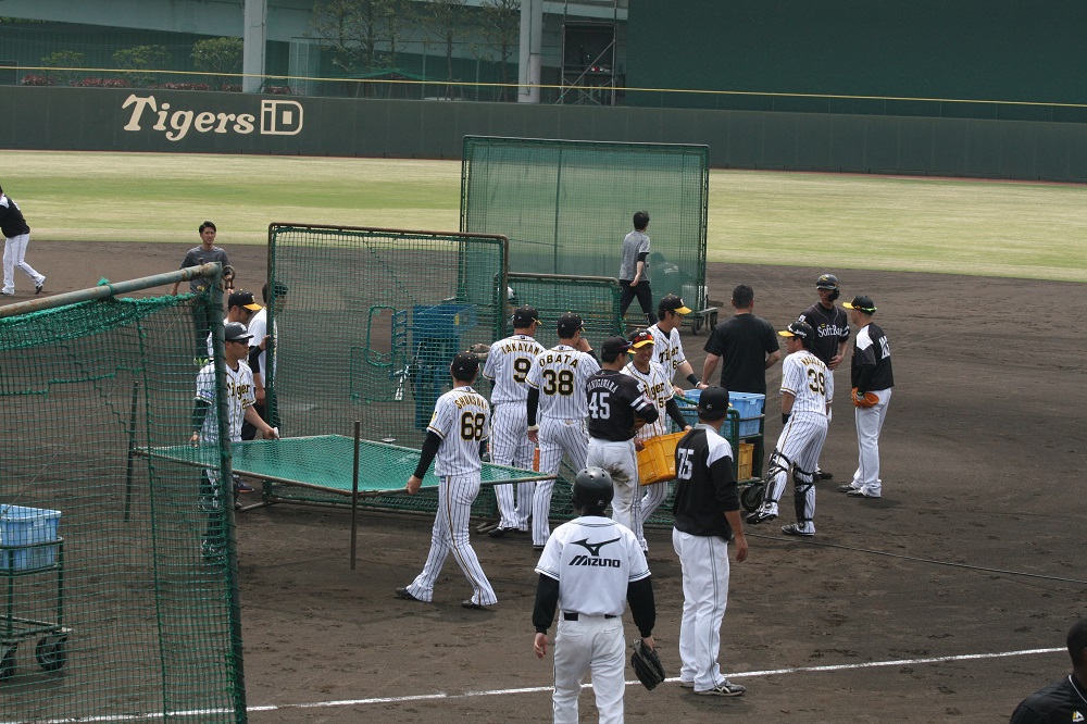 鳴尾浜球場の阪神タイガース選手たち