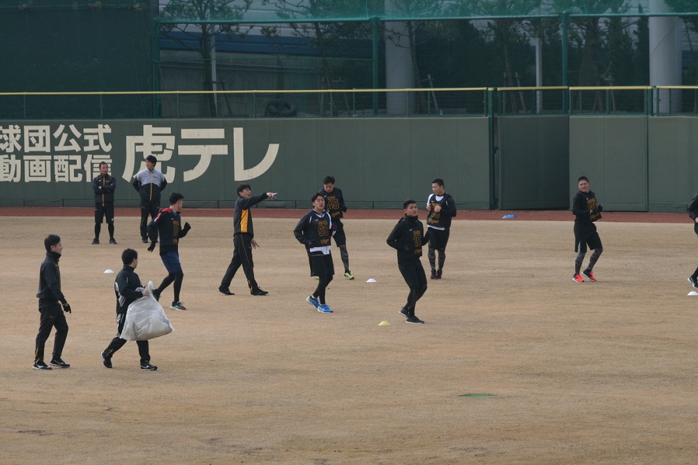 阪神タイガース新人合同自主トレのランニング