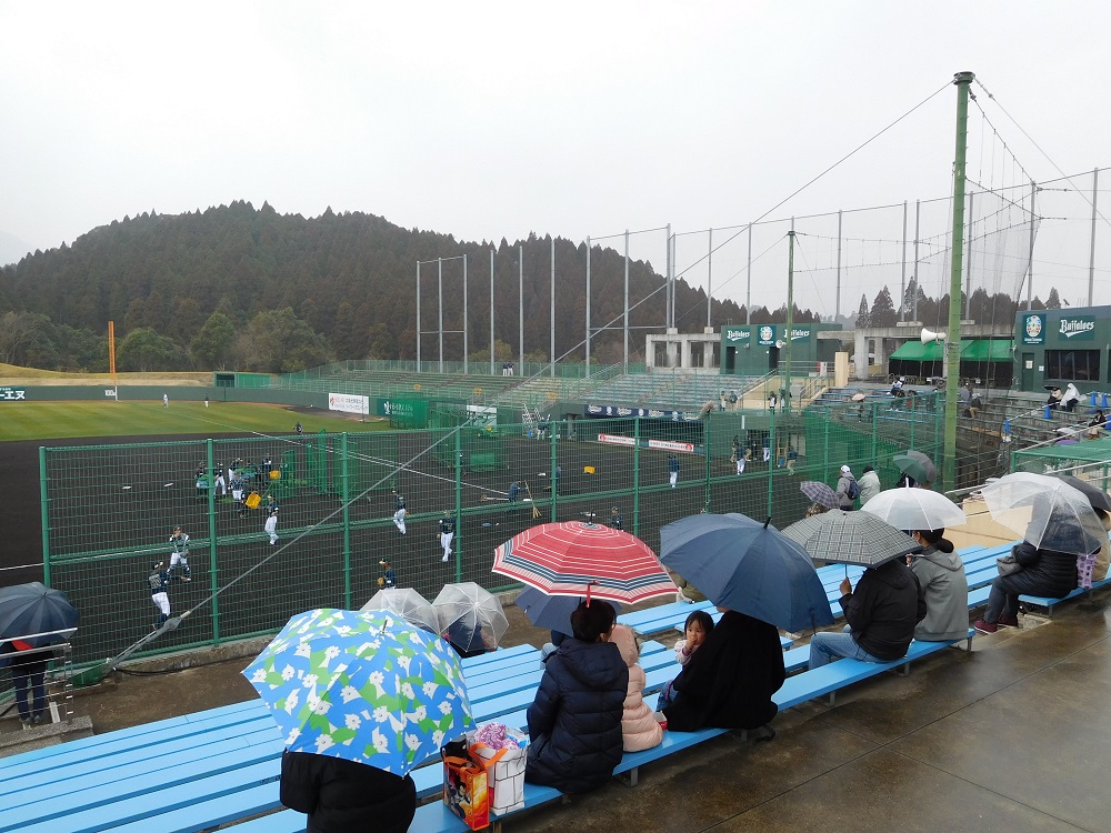 清武総合運動公園野球場の客席