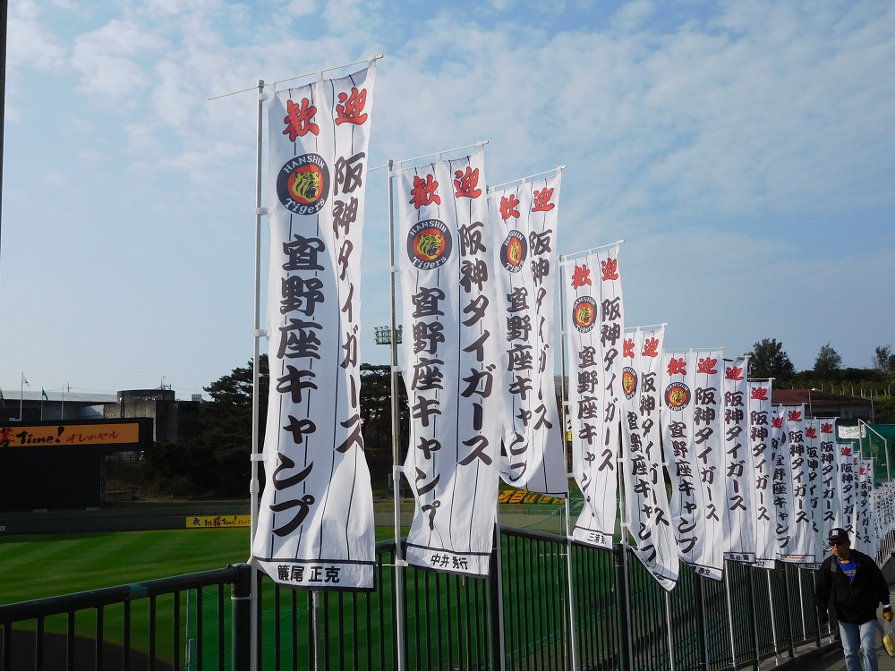 阪神タイガース・沖縄宜野座キャンプの旗