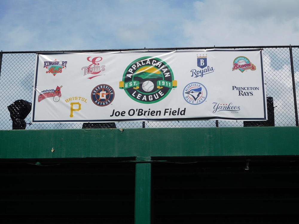 Appalachian Leagueの球団ロゴ