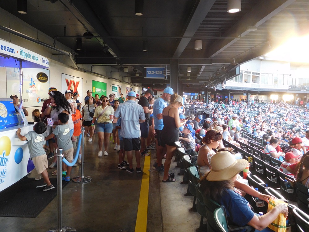 マイナーリーグの観客