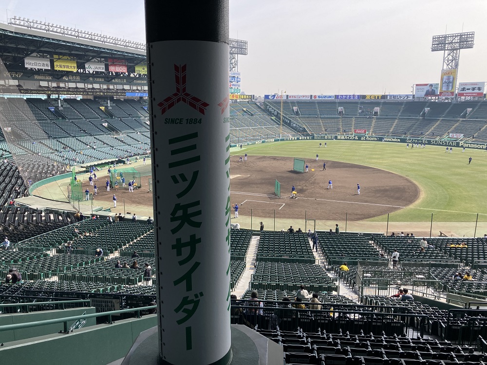 koshien-ivy-seat