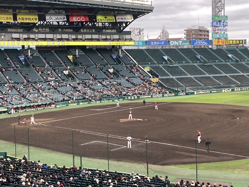 甲子園球場・アイビーシートの景色