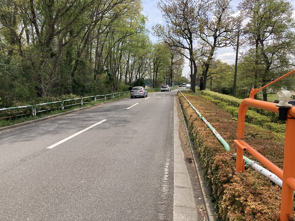 戸田球場前の道路