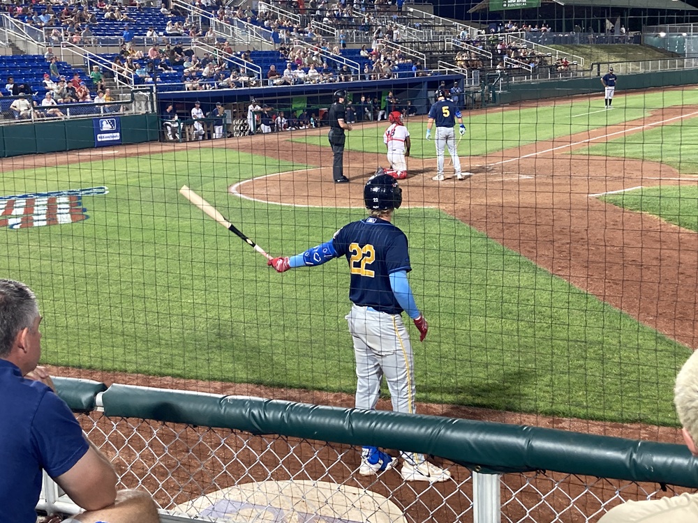 マイナーリーグ球場のボックス席